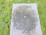 image of grave number 740051